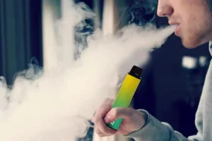 Disposable Electronic Vape
