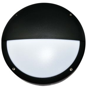 surface ceiling light
